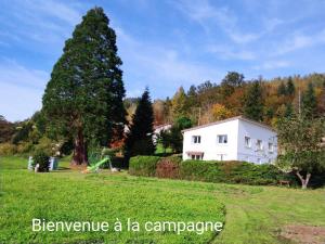 Maisons de vacances Maison spacieuse avec SPA, nature & calme dans les Vosges - FR-1-589-757 : photos des chambres