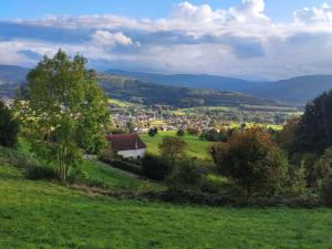 Maisons de vacances Maison spacieuse avec SPA, nature & calme dans les Vosges - FR-1-589-757 : photos des chambres