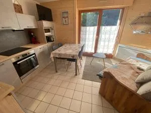 Charmant appartement à Châtel, 4 pers, parking privé, terrasse, proche centre - FR-1-693-115 - 沙泰勒