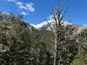 Craigieburn Valley - Греймут