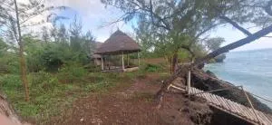 Amerani nyumba - 乌罗阿