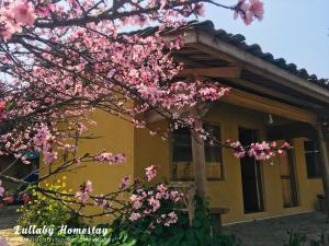 Lullaby Ha Giang Homestay