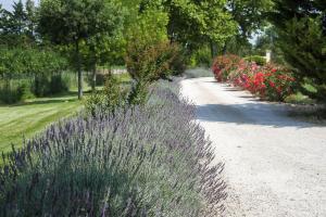 Hotels Les Carmes and spa : photos des chambres