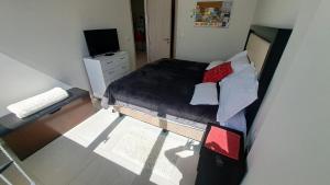 Residencial Carso Vistas del Bosque