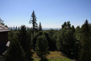 Wili Tatry Apartments