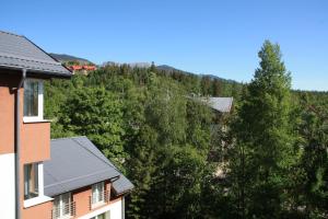 Wili Tatry Apartments