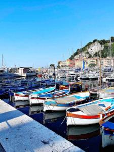 Flamingo Studio 2pax-WIFI-Nice Port