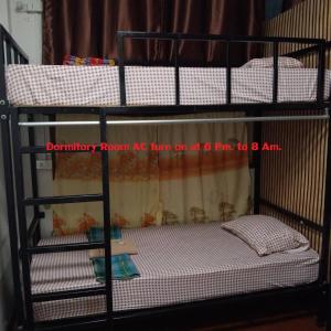 Giường Trong Phòng Ngủ Tập Thể Cho Cả Nam Và Nữ 6 Giường (Bed in 6-Bed Mixed Dormitory Room)