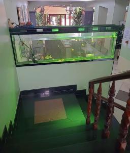 Khách Sạn Đông Nam Á 2