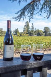 Relaxing 3BR Home with Vineyard View Rooftop Deck and Game Room