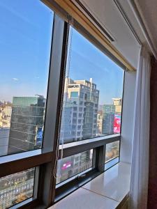 New Open Hongdae tiger House