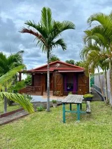 Le chalet du paille en queue - Bellevue