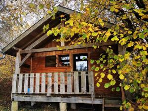 Chalets Le Noisetier : photos des chambres