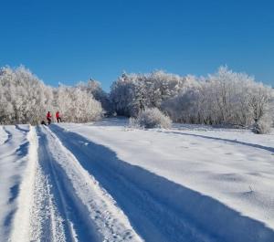 Beskidzki Reset