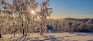 Beskidzki Reset