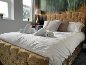 Modern 1 bed studios for comfy stay in Preston