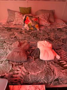 Appartements Love chambre cosy : photos des chambres