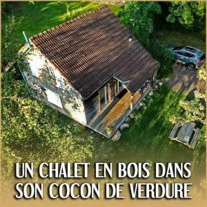 Bouleau - Chalet en bois dans son écrin de verdure - Mélisey
