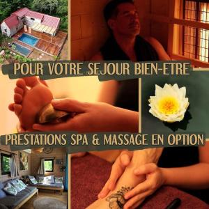 Chalets Bouleau - Chalet en bois dans son ecrin de verdure : photos des chambres
