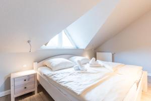 Alte Schule 5