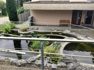 Chambre spacieuse, lumineuse et reposante