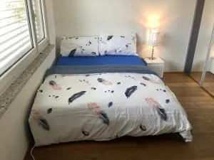 Chambre spacieuse, lumineuse et reposante - Baden