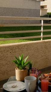 Appartements Capstay studio avec grande terrasse proche aeroport Bastia - Lucciana - Centre : photos des chambres