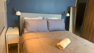 US Embassy Roxas Blvd, Ermita, Manila 1 Bedroom ComfySuite