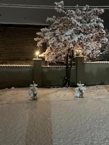 Mount Villa Bakuriani