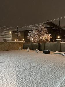 Mount Villa Bakuriani