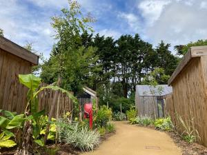 Campings Camping La Foret : photos des chambres