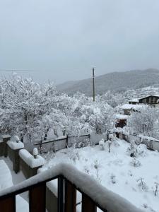 Mount Villa Bakuriani