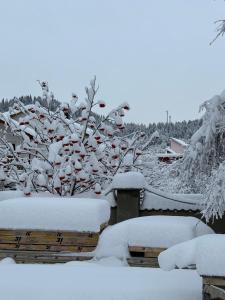 Mount Villa Bakuriani