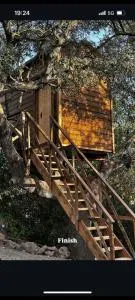 Cabaña del árbol Lavagarural - Villanueva del Trabuco