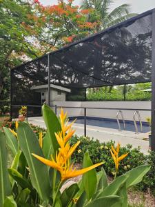 Villa Elenita - Pura Vida - 4hvězdičkové hotely ve městě Parrita