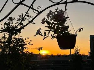 Traumhafte Attikawohnung - Volketswil