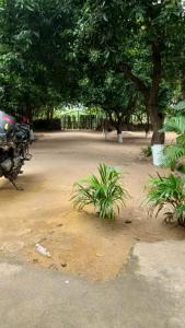 Saanvi Farmhouse
