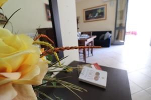 Casa Vacanze Palma Comfort, Space and Authentic Charm in the Heart of Otranto