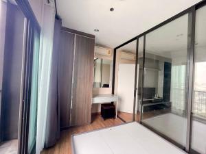 the Tree Rio Bang-Aor