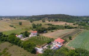 Lovely Home In Benkovac With Wifi 