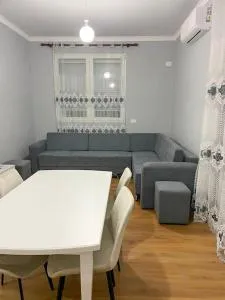 SAB 2 Cozy Modern Apartment Fier - Ballsh