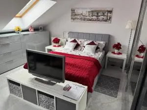 Apartment Zimmer mit Küche und Bad in Danzig - 格但斯克普鲁什奇