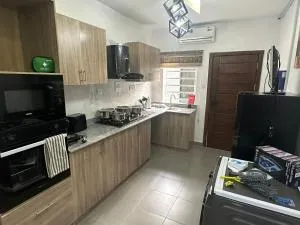 Luxury 3 bedroom Apartment in Surulere - Suru Lere