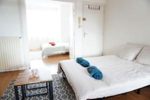 Appartements Bel appartement tres lumineux : photos des chambres