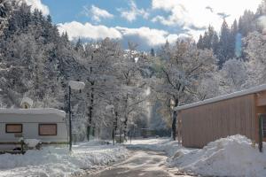 Apartment am Camping Dornbirn - 213 Wendkopf