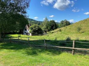 Le Clos du Cerf - Le Sous-bois