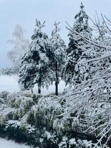 Ground floor 2-bedrooms, 2-bathrooms apartment near Bansko in a complex with pools and SPA included