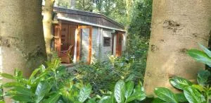 Bos-Chaletje - 迪森