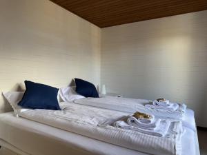 Chalet Schweizerhof 4