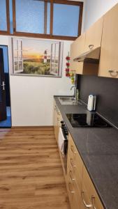 Monteurwohnung 1 Bitterfeld